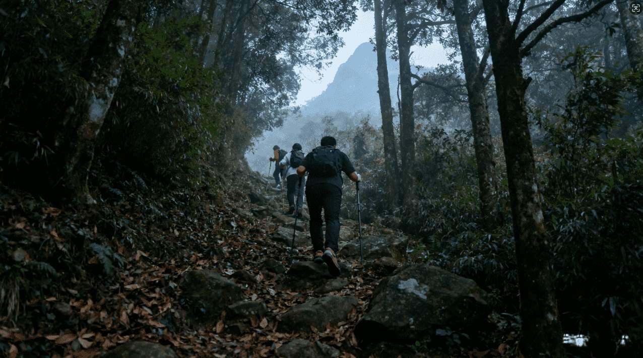 小火箭加速器官方下载安装步骤说明
